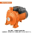 10066 BOMBA CENTRÍFUGA PARA AGUA MODELO EUROPEO, 2 HP, EXPERT
