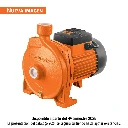 10073 BOMBA CENTRÍFUGA PARA AGUA MODELO EUROPEO, 3/4 HP, EXPERT
