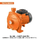 10074 BOMBA CENTRÍFUGA PARA AGUA MODELO EUROPEO, 1 HP, EXPERT